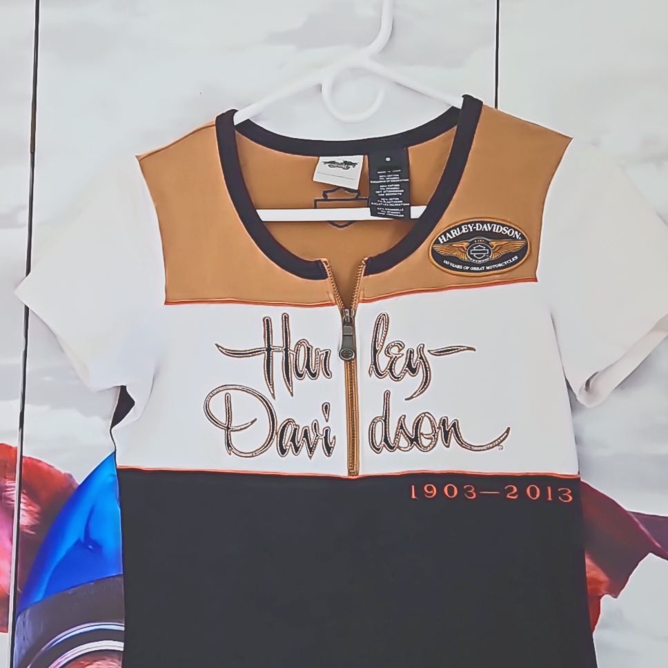Harley Davidson 110th Anniversary Tee Shirt Small